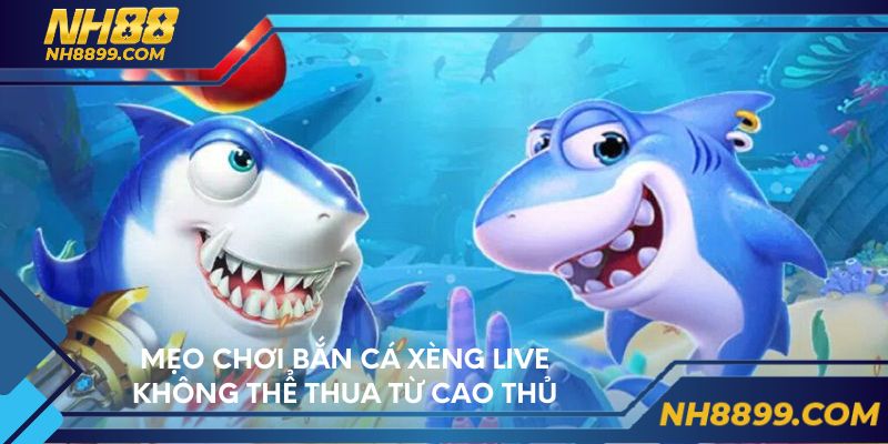 Mẹo chơi bắn cá xèng Live không thể thua từ cao thủ